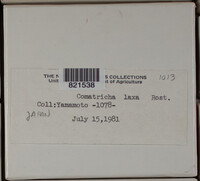 Image Associated With the Occurence